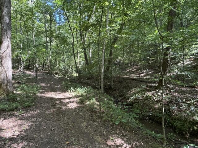 Tr. B&C Bear Hollow Way