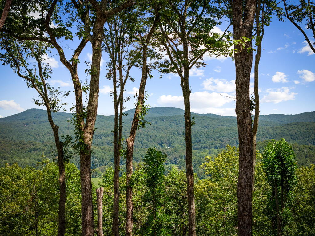 210 Hemptown Overlook