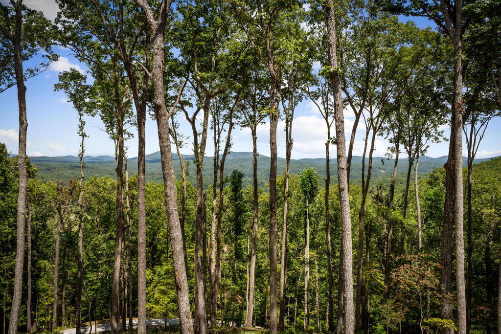 210 Hemptown Overlook