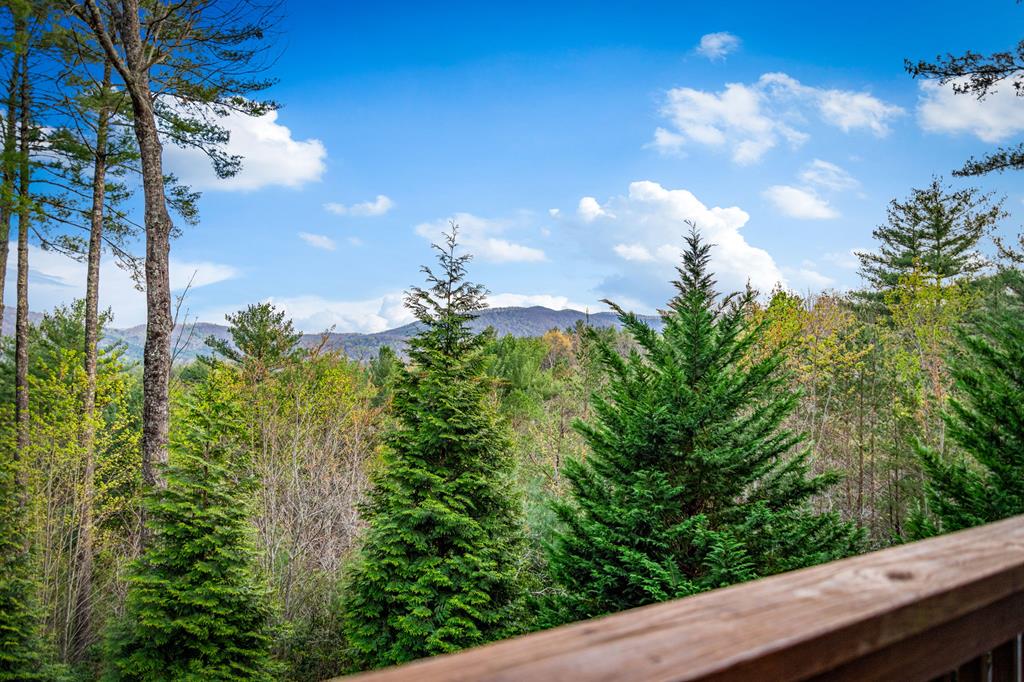 337 Big Sky Trail