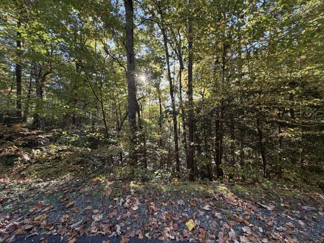 Lot 30 Westwood Run