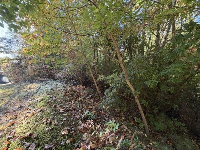 Lot 30 Westwood Run