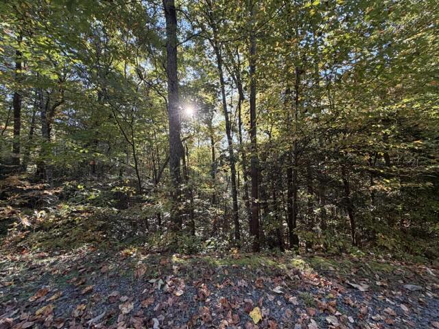 Lot 30 Westwood Run