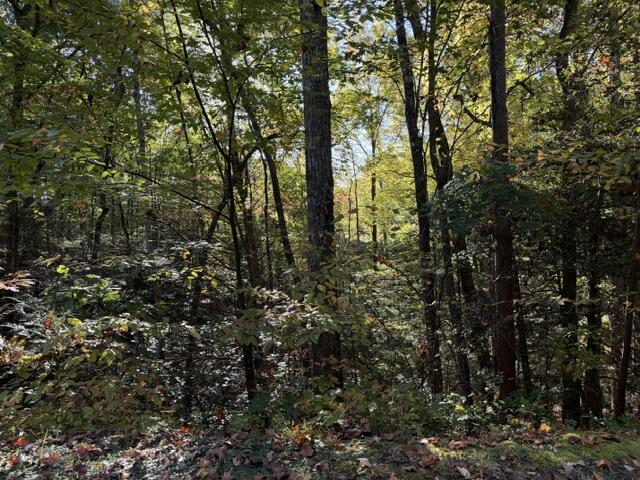 Lot 30 Westwood Run