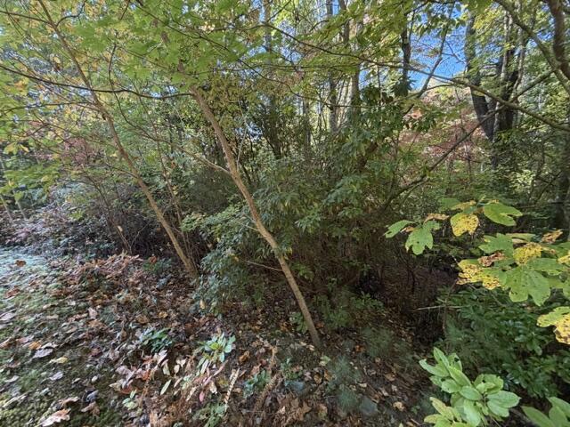 Lot 30 Westwood Run