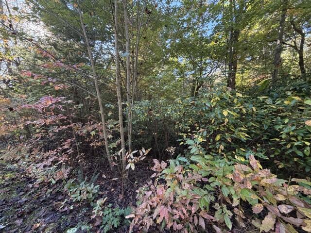 Lot 30 Westwood Run