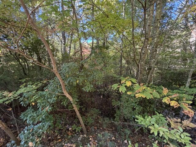 Lot 30 Westwood Run