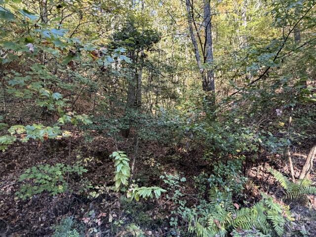 Lot 30 Westwood Run