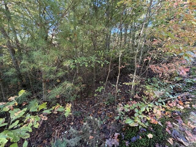 Lot 30 Westwood Run