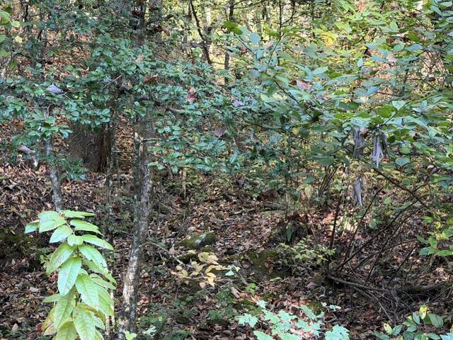 Lot 30 Westwood Run