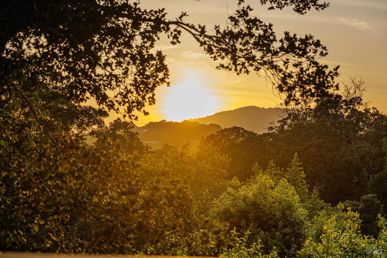 175 Grandview Avenue