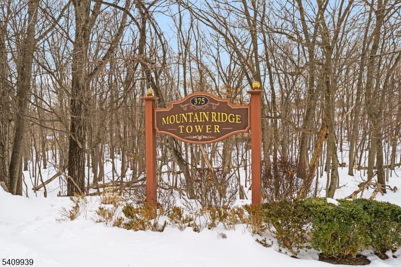 375 Rifle Camp Rd 307