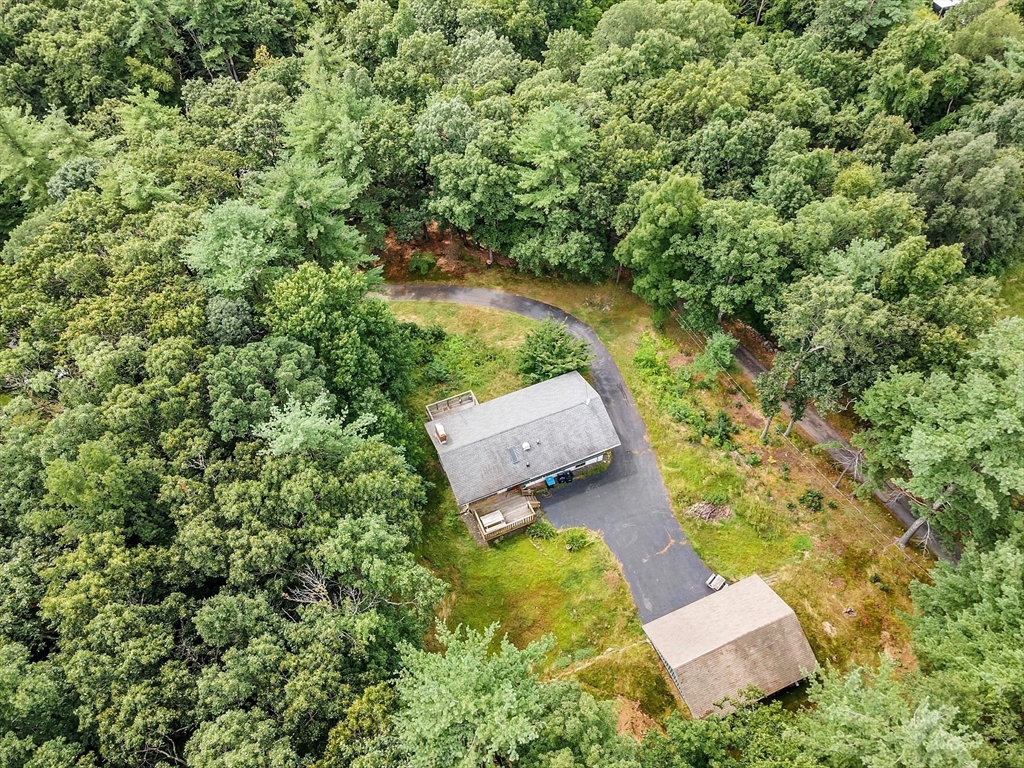3 Tuttle Road