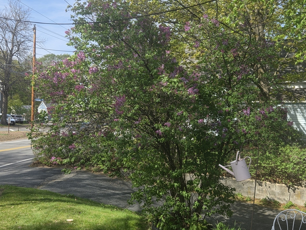 242 Pleasant Street