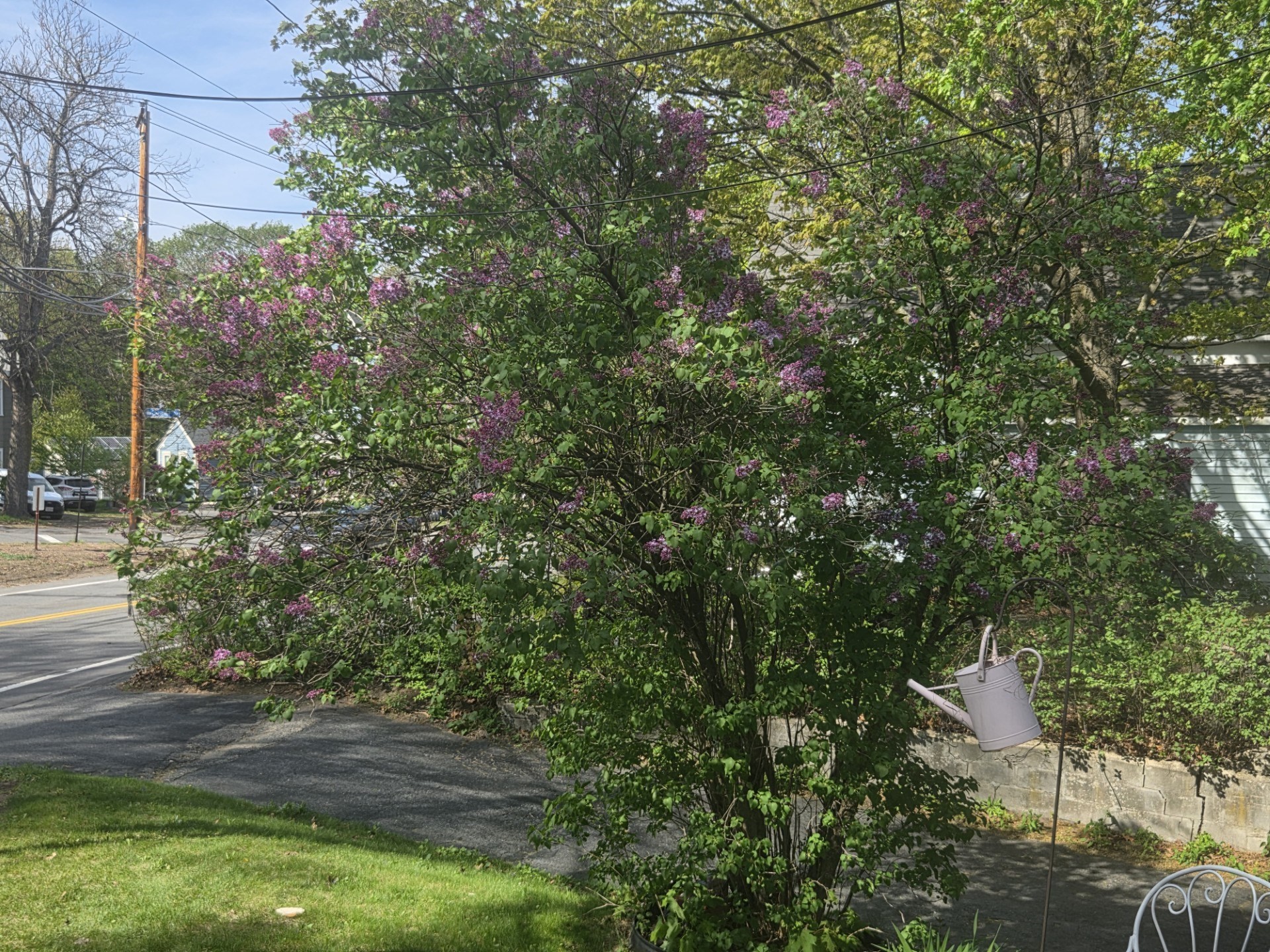 242 Pleasant Street