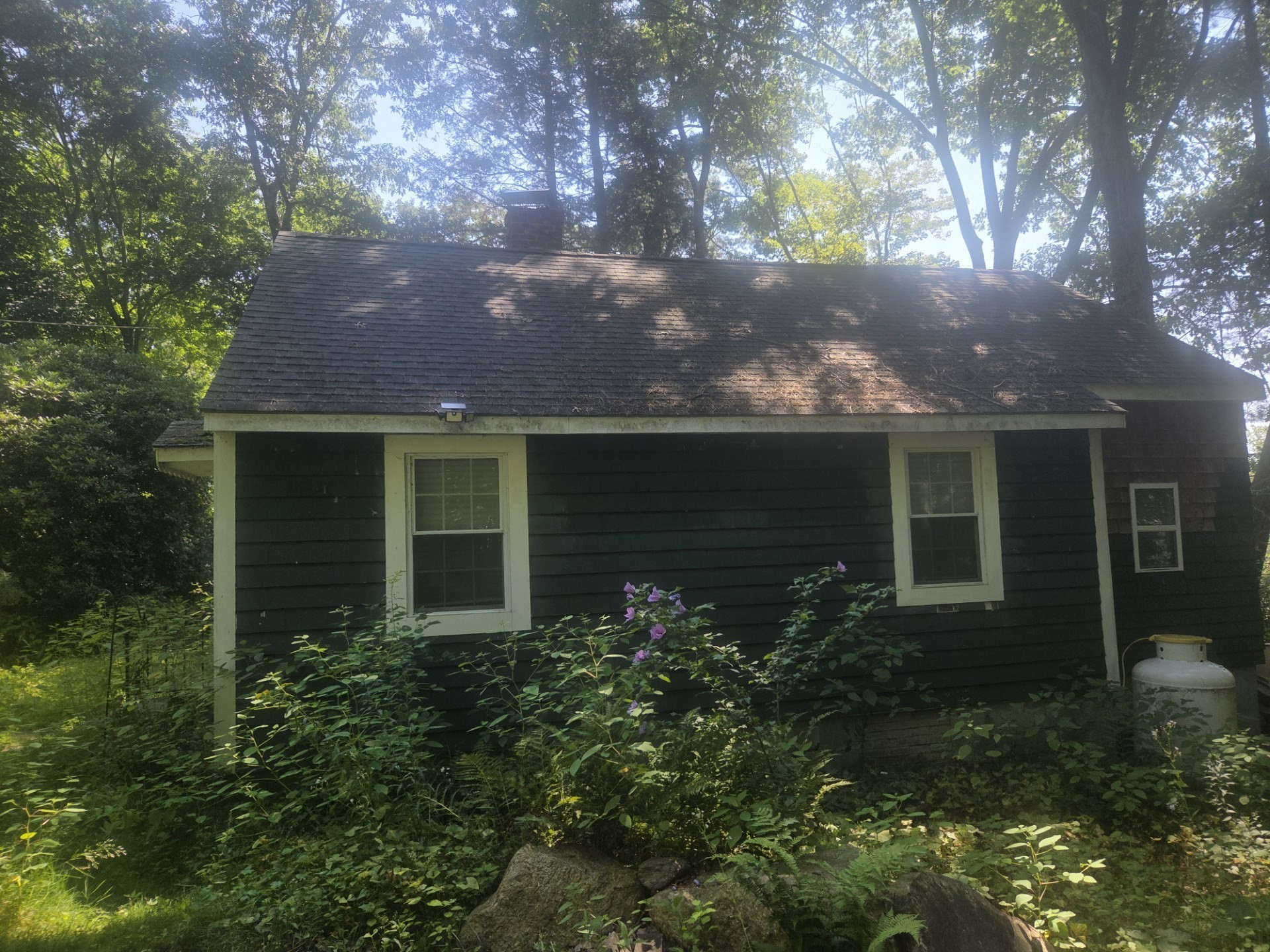 4 Lambs Grove Spencer MA