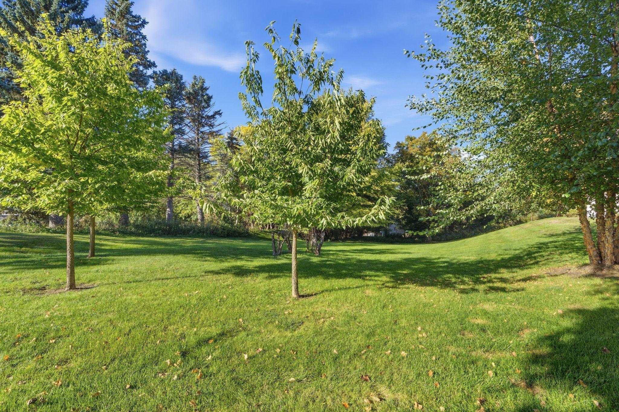 Gently sloping green lawn surrounded by mature trees and shrubs.