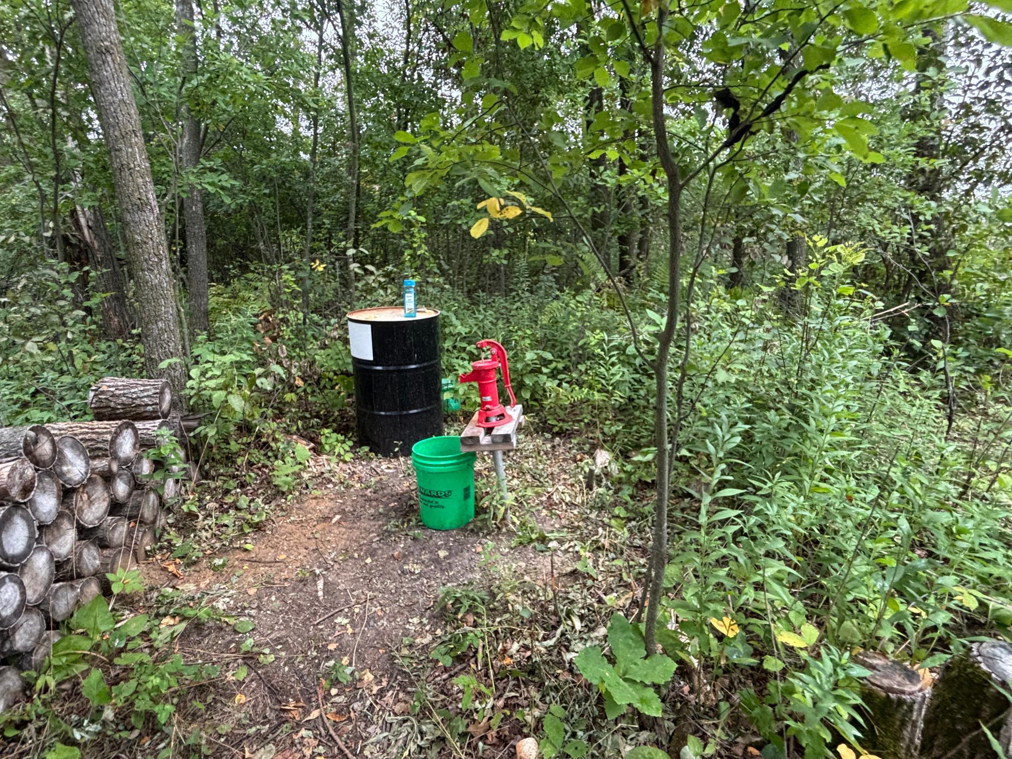 Red hand pump, barrel, and green bucket in a wooded clearing beside stacked logs.