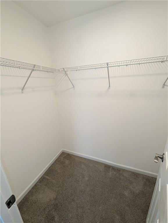 1301 Primrose View Circle