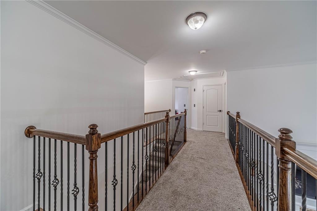 1859 Alcovy Shoals Bluff