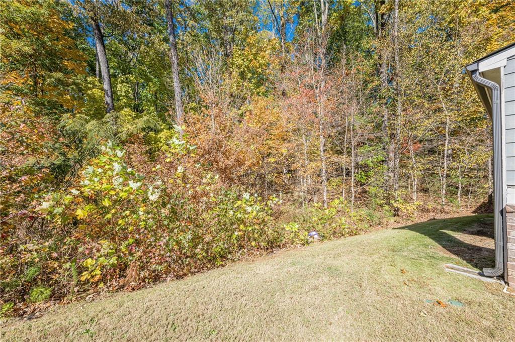 534 Paden Bluff Trail
