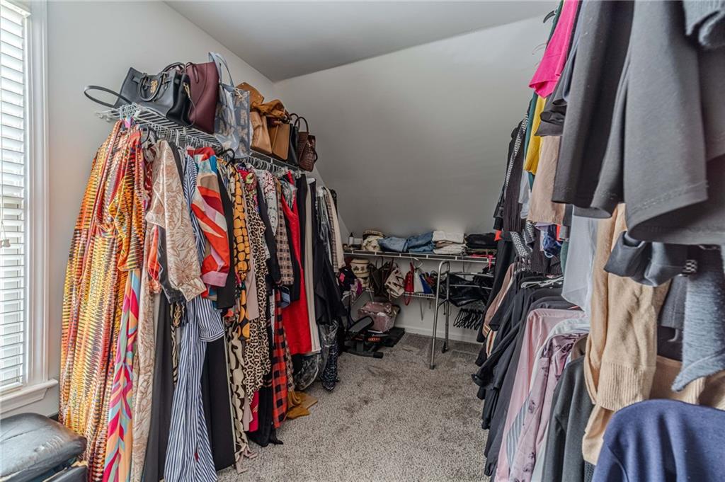 1859 Alcovy Shoals Bluff