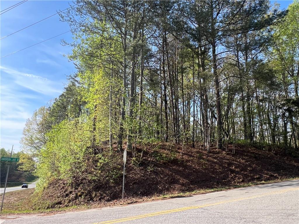 6425 Anderson Lake Road