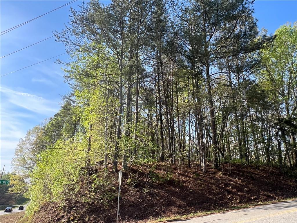 6425 Anderson Lake Road