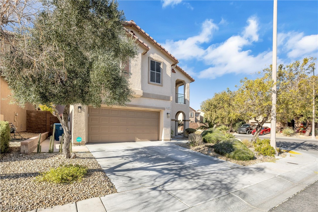 11127 Ash Mountain Street