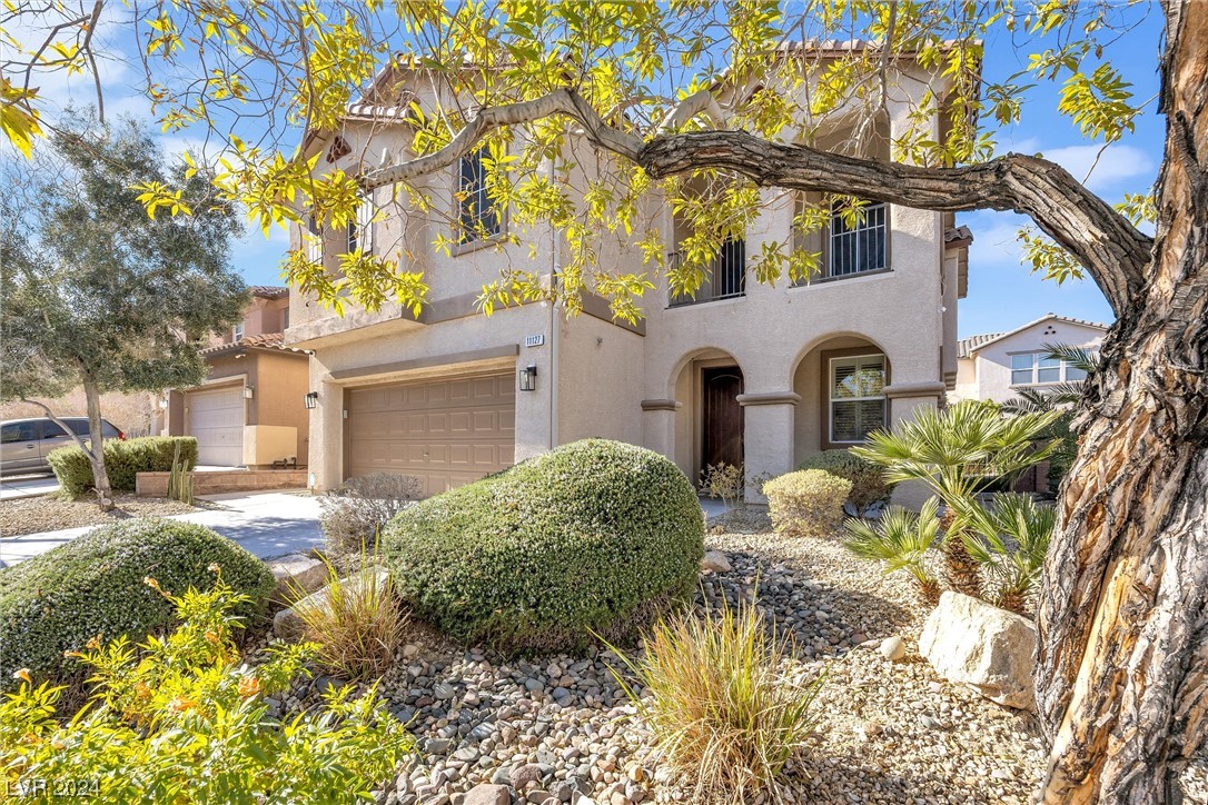 11127 Ash Mountain Street