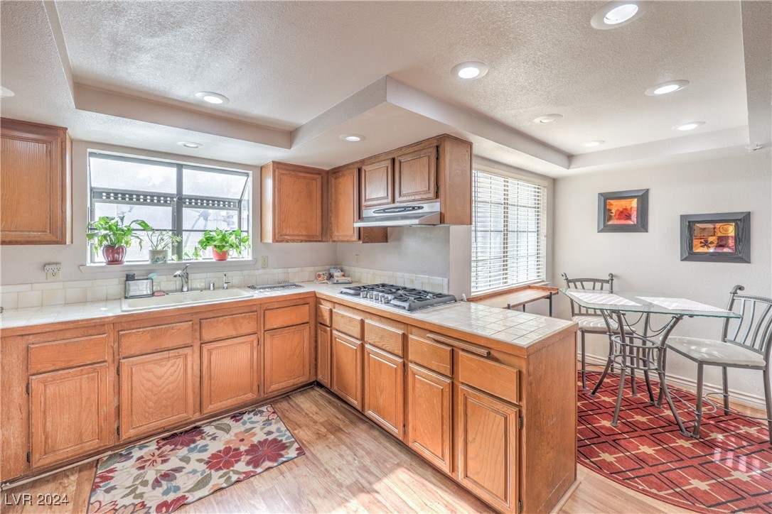 3133 La Mancha Way