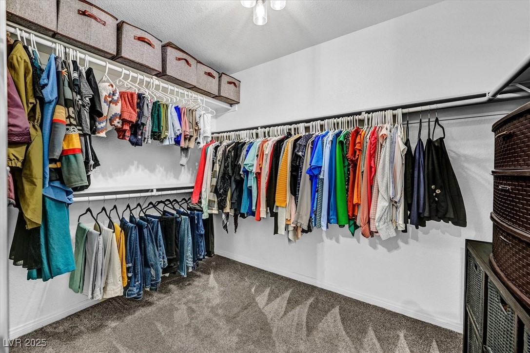 10042 Big Sur Mountain Street