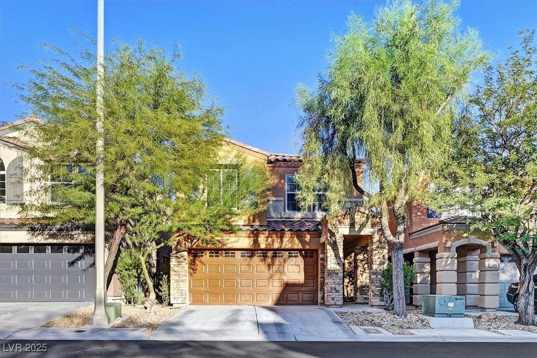 10042 Big Sur Mountain Street