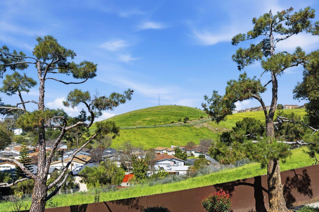 3115 Heather Ridge Drive