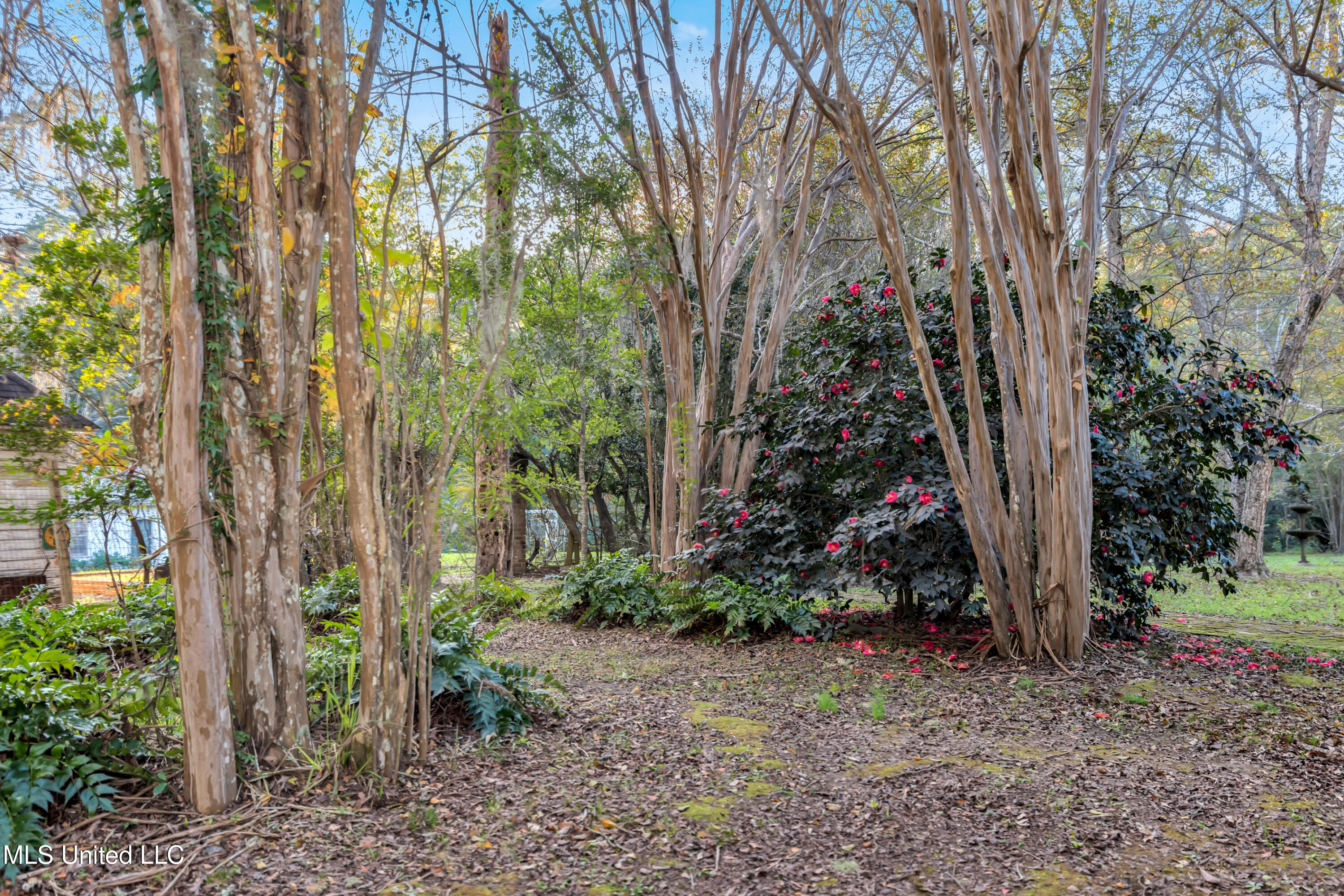 109 Carmel Church Road