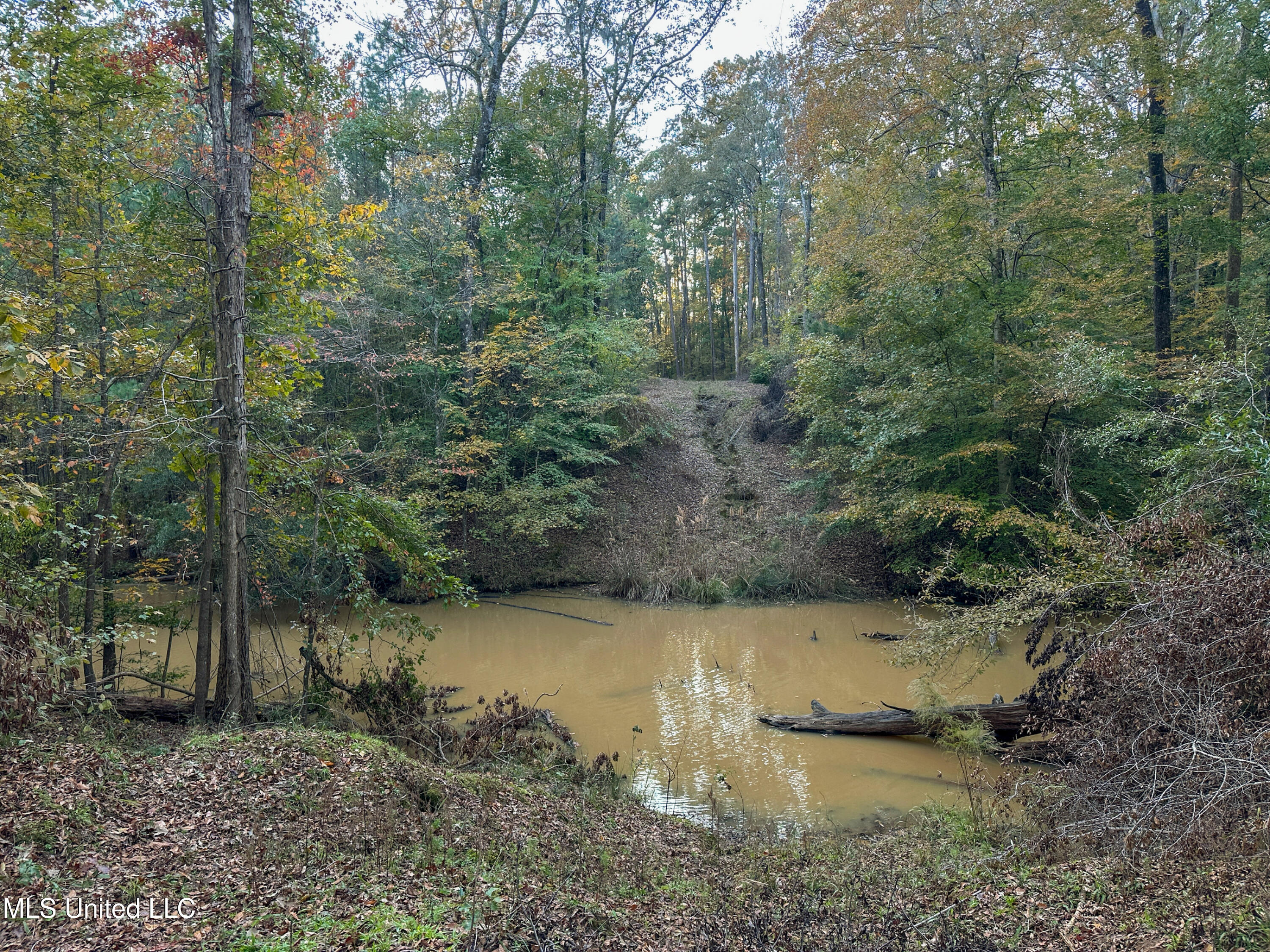 109 Carmel Church Road