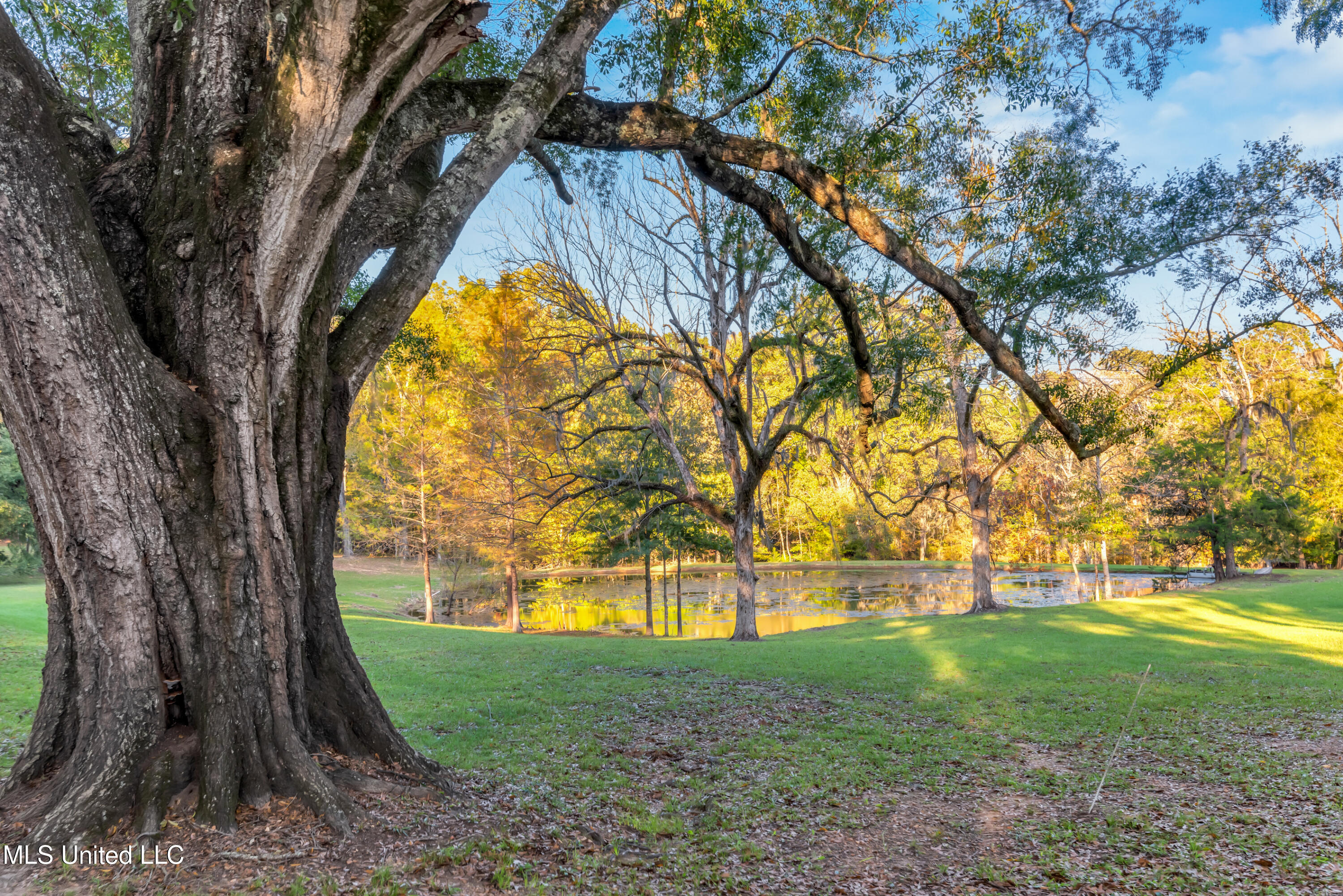 109 Carmel Church Road