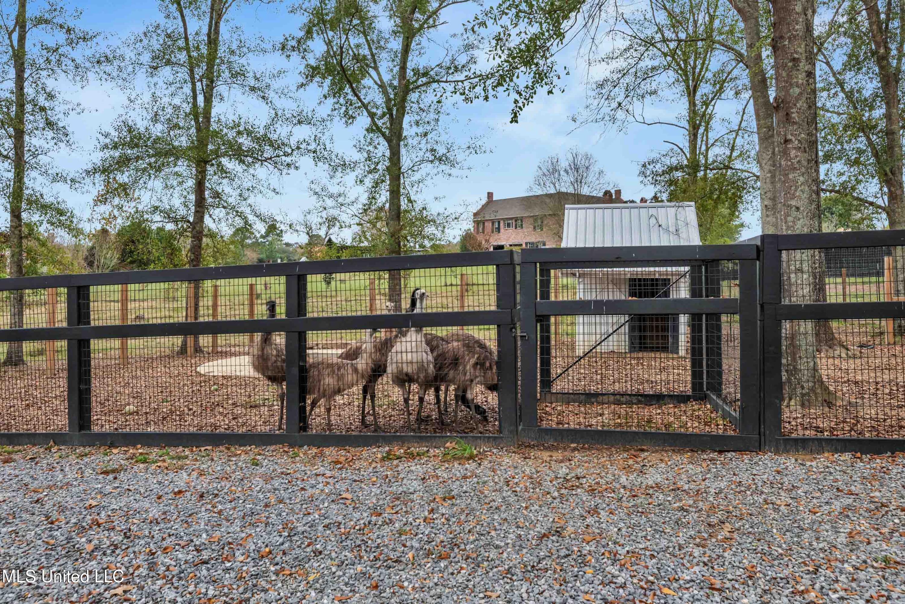 282 Ralph Rawls Road