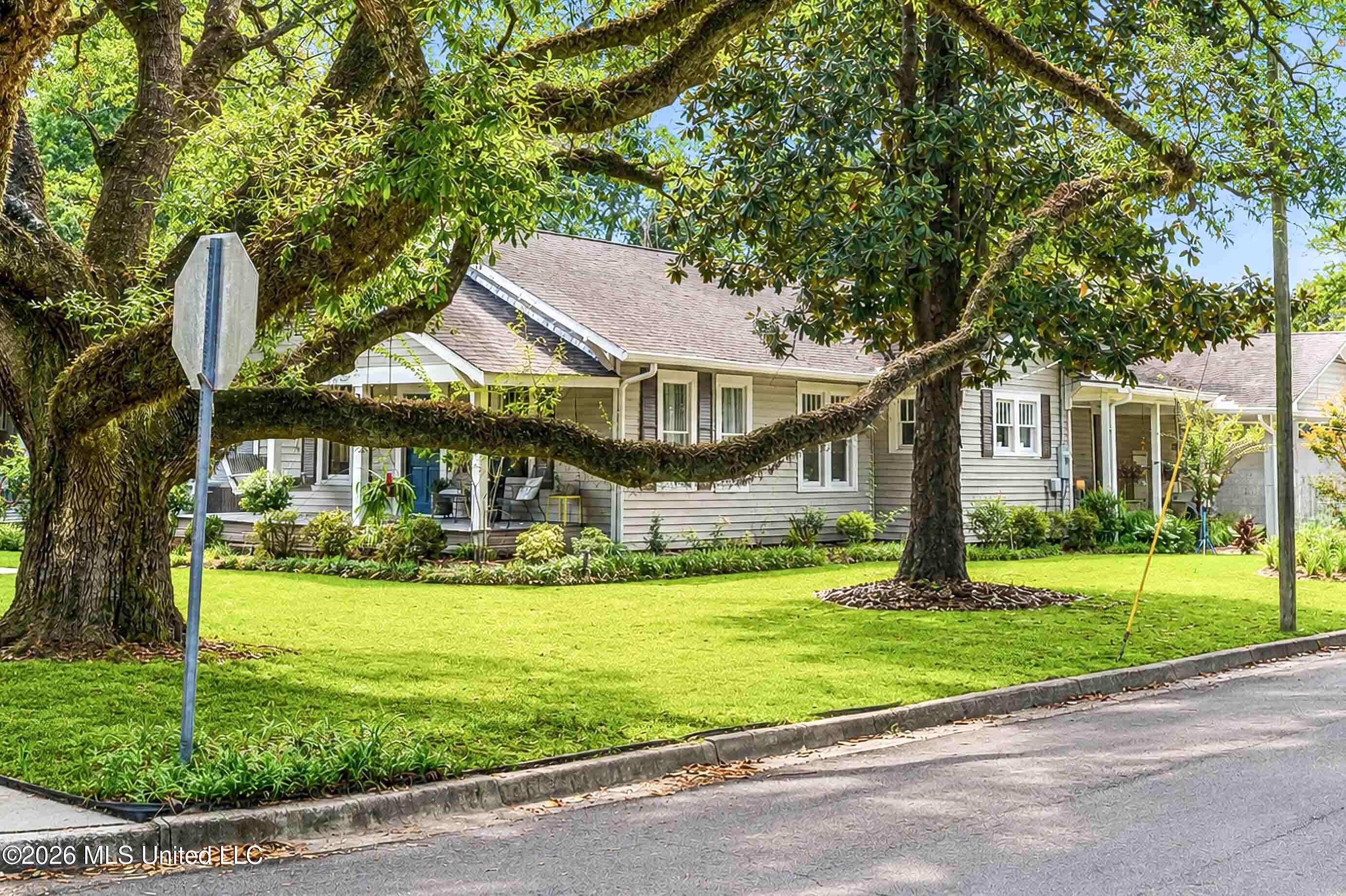 Single-story house behind sprawling shade trees, with a covered porch and broad green lawn.