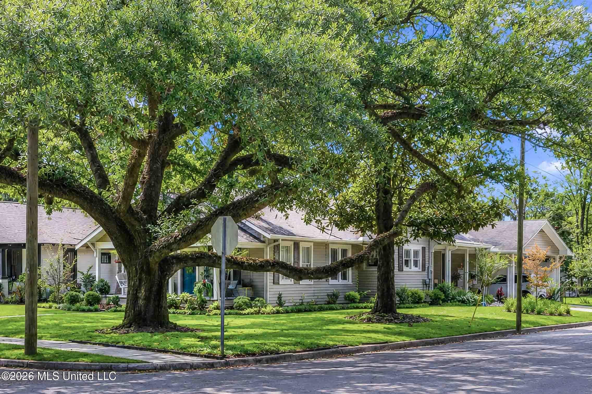 Single-story house behind two large shade trees, with a covered porch and landscaped front lawn.