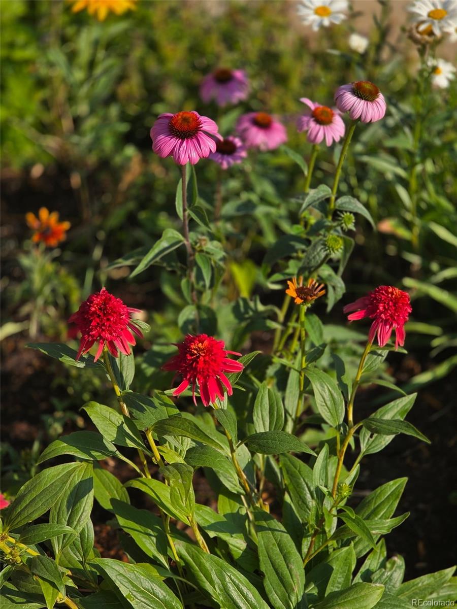 46527 Sunset View Way