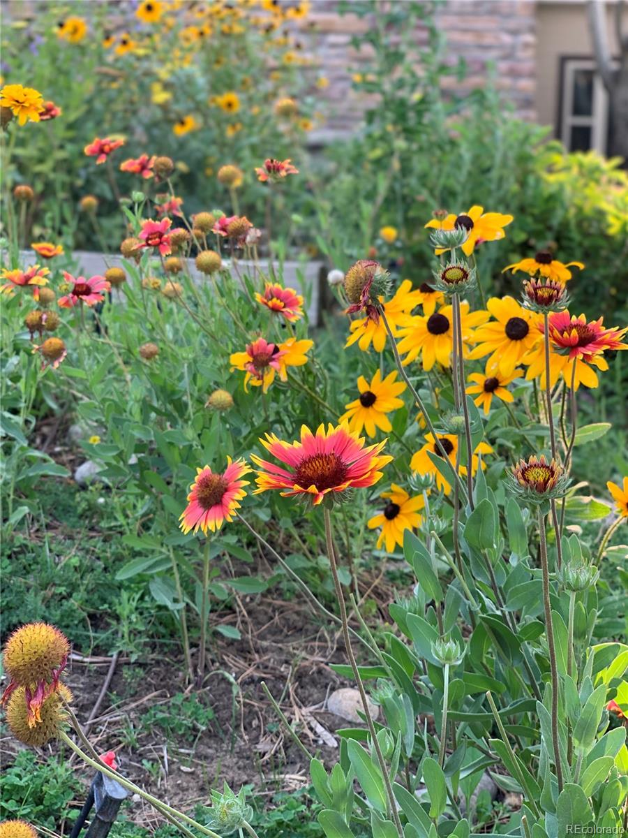 46527 Sunset View Way