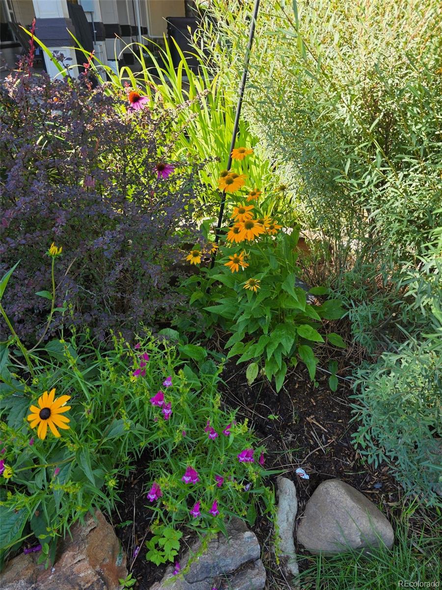 46527 Sunset View Way