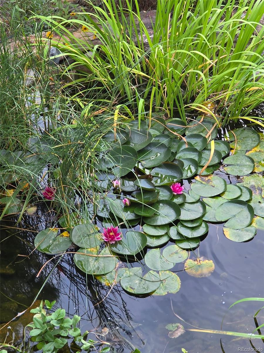 46527 Sunset View Way