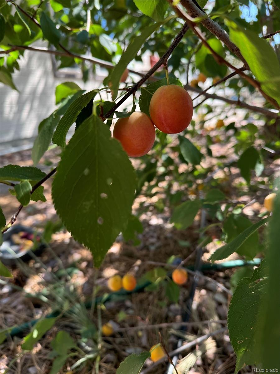 46527 Sunset View Way