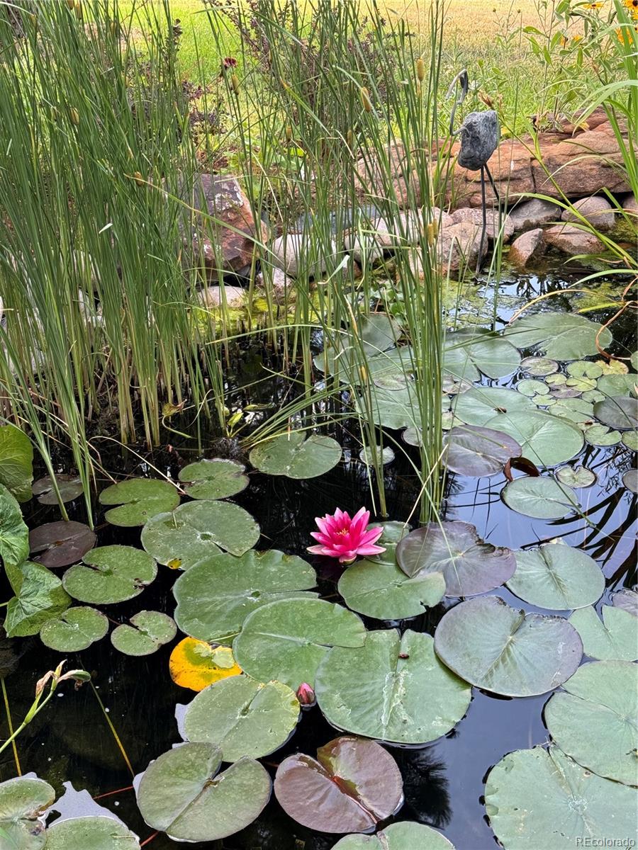 46527 Sunset View Way