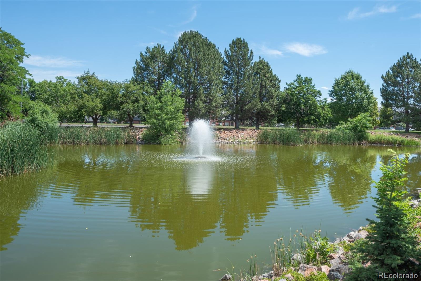 8225 Fairmount Drive Unit: 203