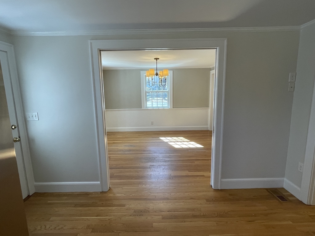 7 Berkeley Road # 7