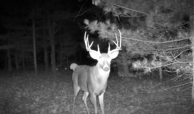 N9495 Radcliffe ROAD 2