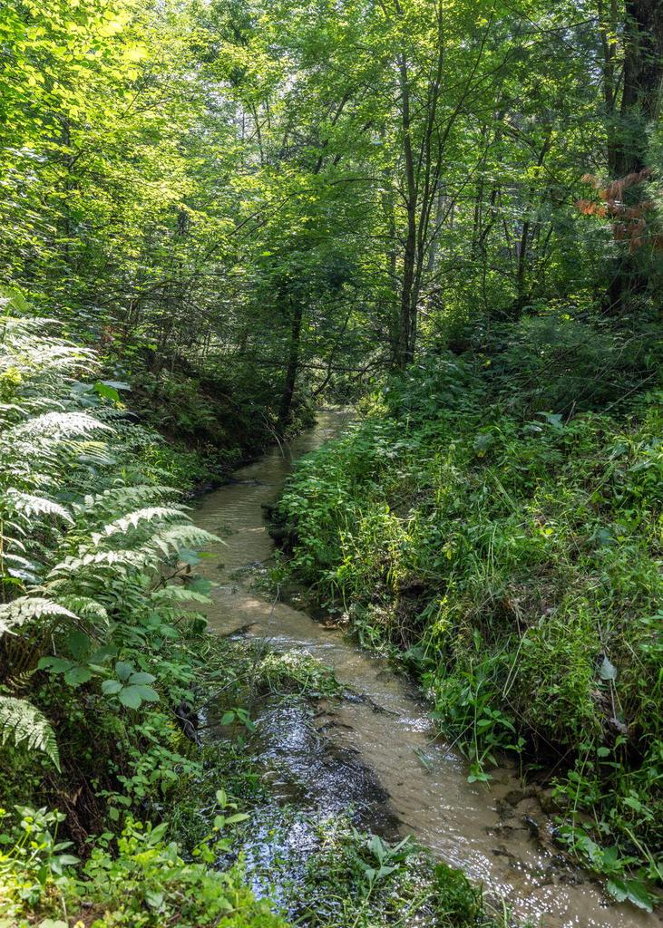 N9495 Radcliffe ROAD 2